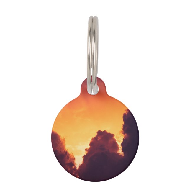 w in weather pet tag (Front)