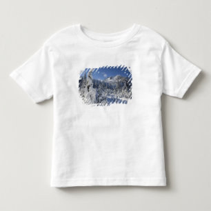 WA, Alpine Lakes Wilderness, Snow Lake basin Toddler T-Shirt