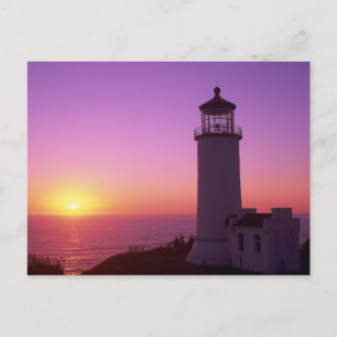 WA, Cape Disappointment State Park, North Head 2 Postcard