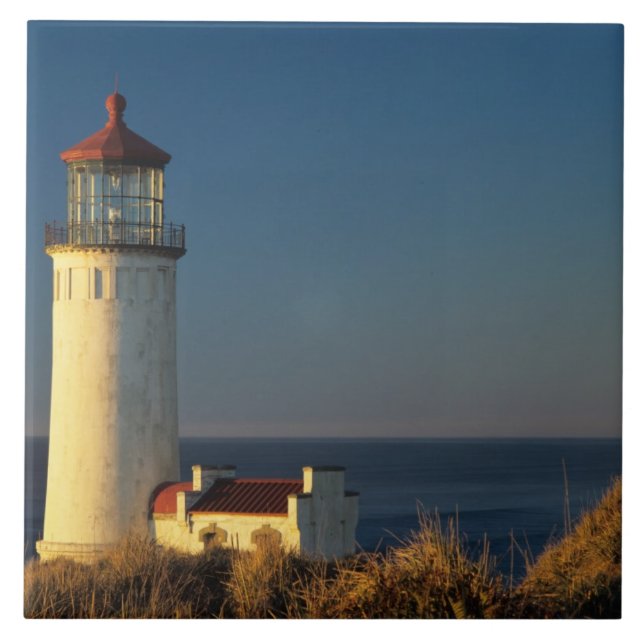 WA, Cape Disappointment State Park, North Head Ceramic Tile (Front)