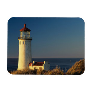 WA, Cape Disappointment State Park, North Head Magnet