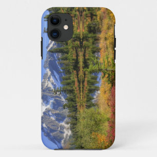 WA, Heather Meadows Recreation Area, Mt. 2 iPhone 11 Case