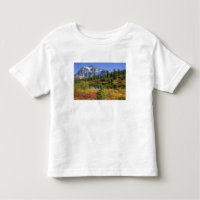 WA, Heather Meadows Recreation Area, Mt. 2