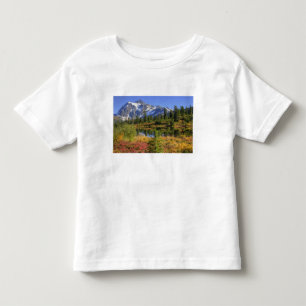 WA, Heather Meadows Recreation Area, Mt. 2 Toddler T-Shirt