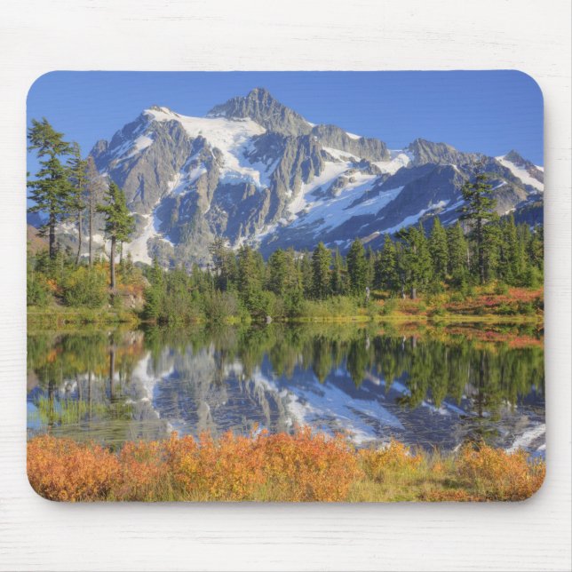 WA, Heather Meadows Recreation Area, Mt. Mouse Pad (Front)