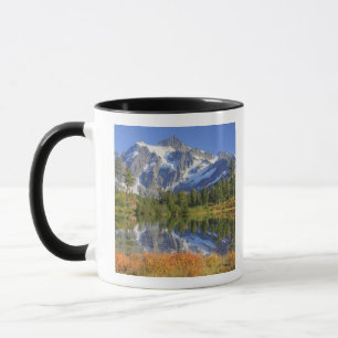 WA, Heather Meadows Recreation Area, Mt. Mug