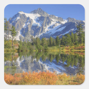 WA, Heather Meadows Recreation Area, Mt. Square Sticker