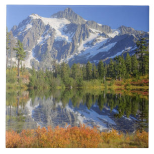WA, Heather Meadows Recreation Area, Mt. Tile