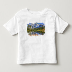 WA, Heather Meadows Recreation Area, Mt. Toddler T-Shirt