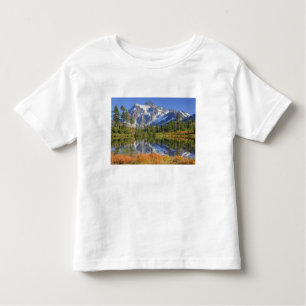 WA, Heather Meadows Recreation Area, Mt. Toddler T-Shirt