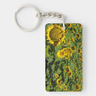 WA, Kittitas County, Sunflower Field Key Ring