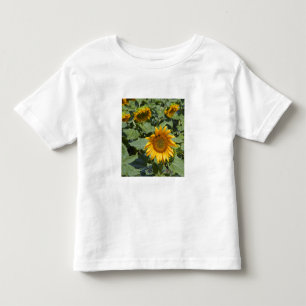 WA, Kittitas County, Sunflower Field Toddler T-Shirt