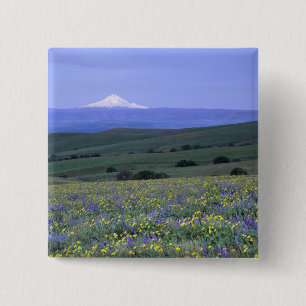 WA, Klickitat County, Dalles Mountain Ranch, 15 Cm Square Badge