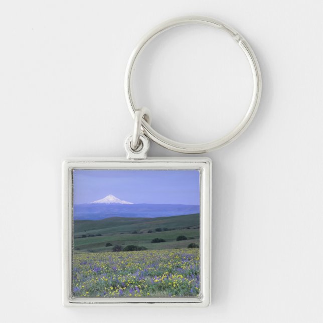 WA, Klickitat County, Dalles Mountain Ranch, Key Ring (Front)