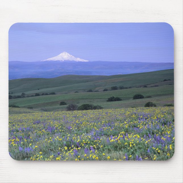 WA, Klickitat County, Dalles Mountain Ranch, Mouse Pad (Front)