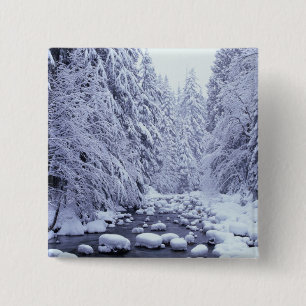 WA, Mount Baker-Snoqualmie National Forest, 15 Cm Square Badge