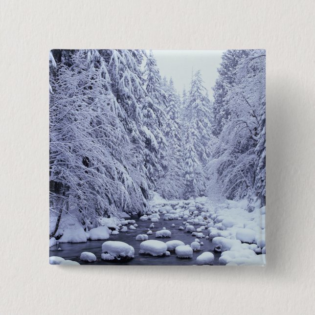WA, Mount Baker-Snoqualmie National Forest, 15 Cm Square Badge (Front)