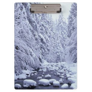 WA, Mount Baker-Snoqualmie National Forest, Clipboard