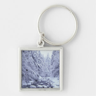 WA, Mount Baker-Snoqualmie National Forest, Key Ring