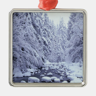 WA, Mount Baker-Snoqualmie National Forest, Metal Tree Decoration