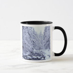 WA, Mount Baker-Snoqualmie National Forest, Mug