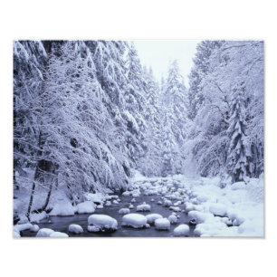 WA, Mount Baker-Snoqualmie National Forest, Photo Print