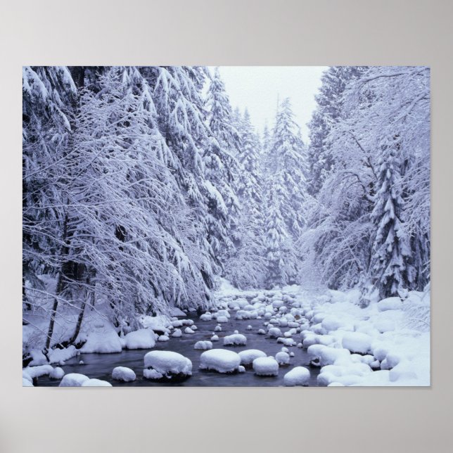 WA, Mount Baker-Snoqualmie National Forest, Poster (Front)