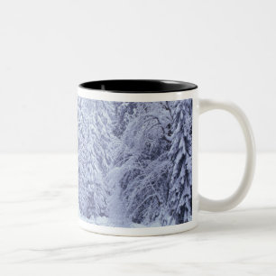 WA, Mount Baker-Snoqualmie National Forest, Two-Tone Coffee Mug