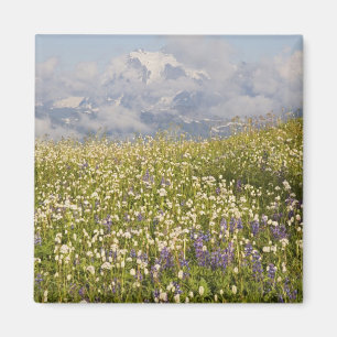WA, Mt. Baker Wilderness, Mt. Shuksan and Magnet