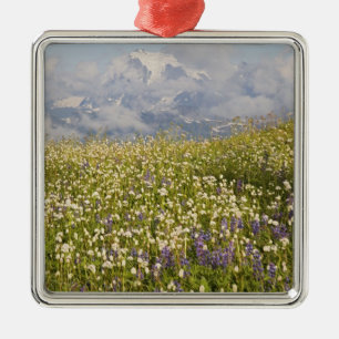 WA, Mt. Baker Wilderness, Mt. Shuksan and Metal Ornament