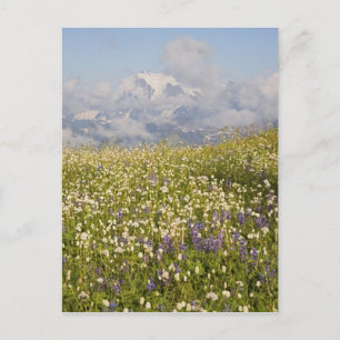 WA, Mt. Baker Wilderness, Mt. Shuksan and Postcard