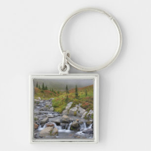 WA, Mt. Rainier National Park, Edith Creek Key Ring