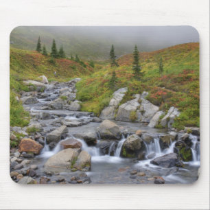WA, Mt. Rainier National Park, Edith Creek Mouse Pad