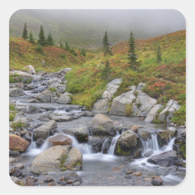 WA, Mt. Rainier National Park, Edith Creek Square Sticker (Front)