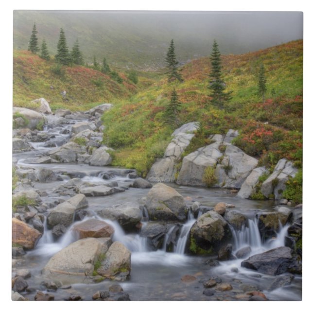 WA, Mt. Rainier National Park, Edith Creek Tile (Front)