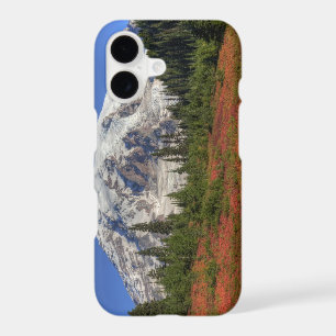 WA, Mt. Rainier National Park, Paradise Valley
