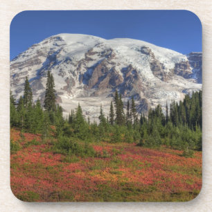 WA, Mt. Rainier National Park, Paradise Valley Coaster