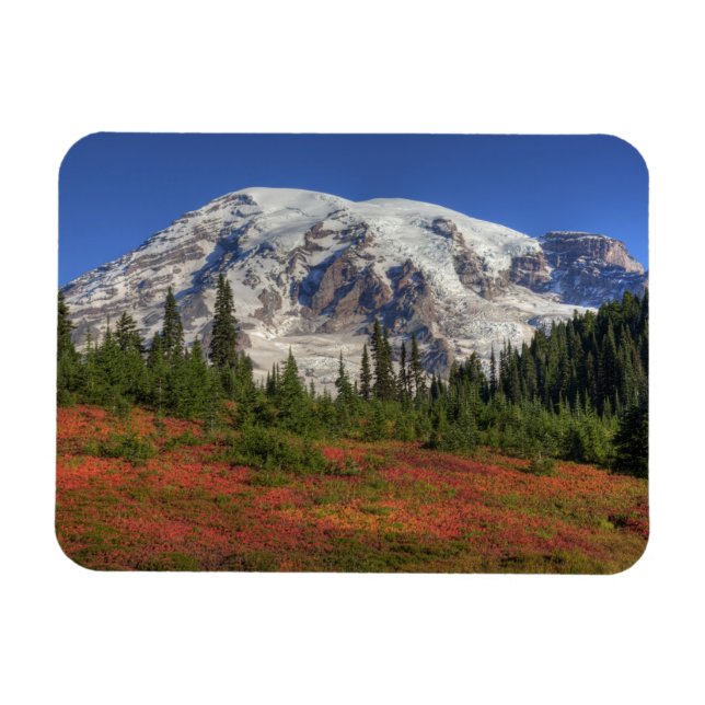 WA, Mt. Rainier National Park, Paradise Valley Magnet (Horizontal)