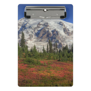 WA, Mt. Rainier National Park, Paradise Valley Mini Clipboard