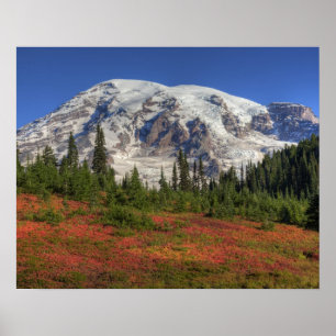 WA, Mt. Rainier National Park, Paradise Valley Poster