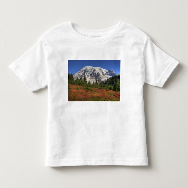 WA, Mt. Rainier National Park, Paradise Valley Toddler T-Shirt (Front)
