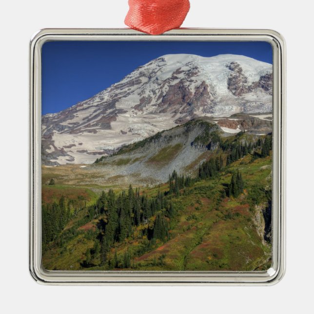 WA, Mt. Rainier National Park, view from the Metal Ornament (Front)