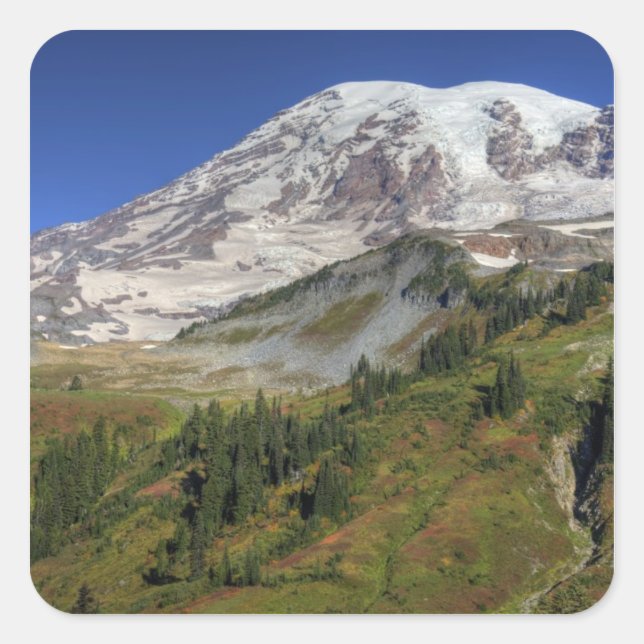 WA, Mt. Rainier National Park, view from the Square Sticker (Front)