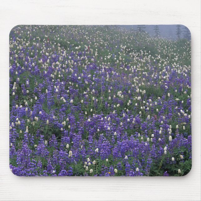 WA, Mt. Rainier NP, Lupine and Bistort meadow Mouse Pad (Front)