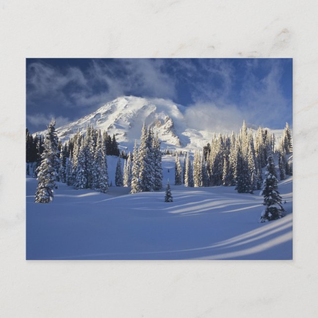 WA, Mt. Rainier NP, Mt. Rainier and Paradise Postcard (Front)