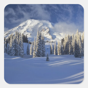 WA, Mt. Rainier NP, Mt. Rainier and Paradise Square Sticker