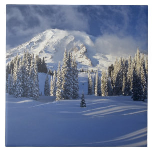 WA, Mt. Rainier NP, Mt. Rainier and Paradise Tile