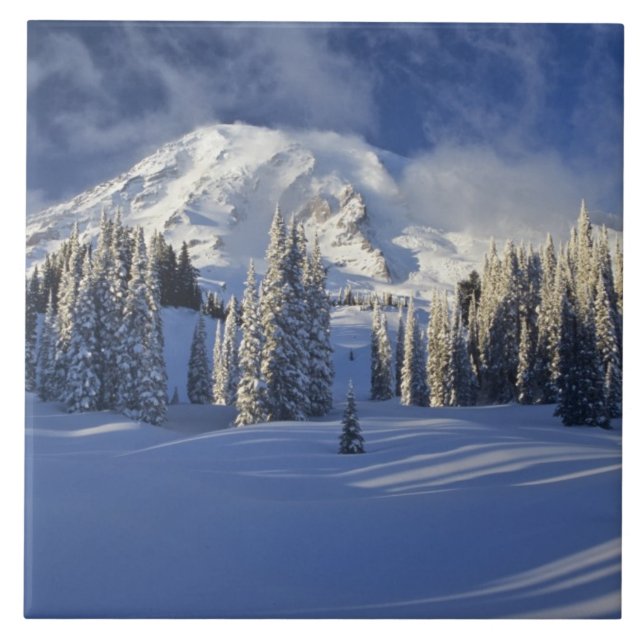 WA, Mt. Rainier NP, Mt. Rainier and Paradise Tile (Front)