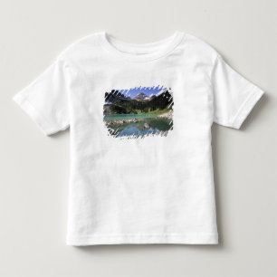 WA, Okanogan NF, Lewis Lake and Black Peak Toddler T-Shirt