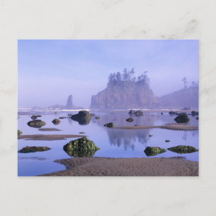 WA, Olympic National Park, Second Beach, Postcard